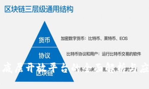 区块链底层开放平台的全面解析与应用前景
