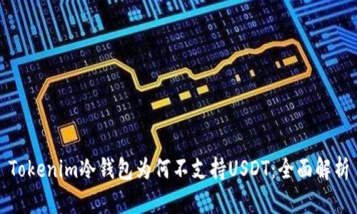 Tokenim冷钱包为何不支持USDT:全面解析