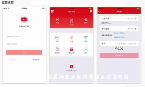区块链技术发展的最大阻碍与解决方案分析