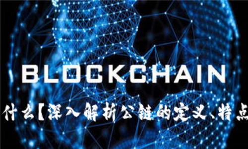 公链是什么?深入解析公链的定义、特点与应用