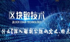 公链是什么？深入解析公