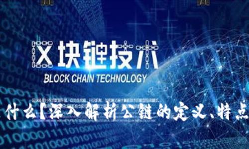 公链是什么?深入解析公链的定义、特点与应用