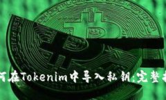 如何在Tokenim中导入私钥：