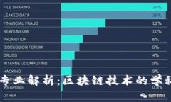 区块链项目专业解析：区