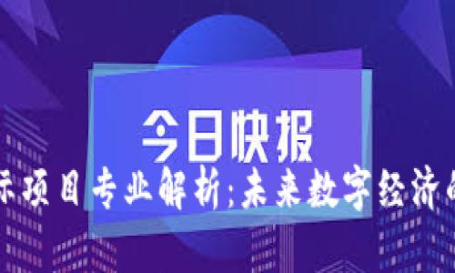 区块链国际项目专业解析:未来数字经济的重要方向