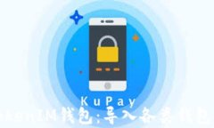 全面解析TokenIM钱包：导入