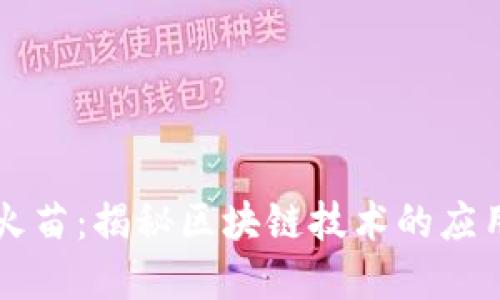区块链火苗：揭秘区块链技术的应用与发展