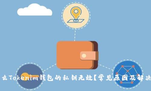 为什么Tokenim钱包的私钥无效？常见原因及解决方案