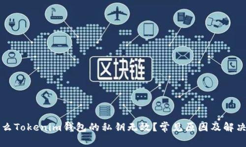 为什么Tokenim钱包的私钥无效？常见原因及解决方案