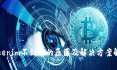 Tokenim不到账的原因及解决