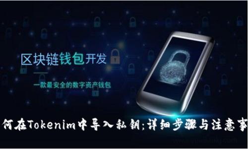 如何在Tokenim中导入私钥:详细步骤与注意事项
