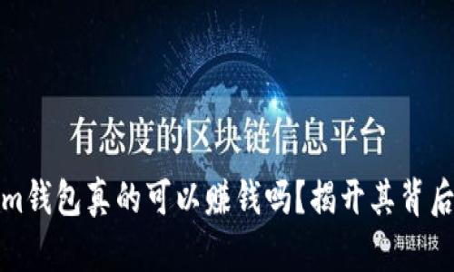Tokenim钱包真的可以赚钱吗?揭开其背后的真相