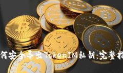 如何安全导出TokenIM私钥：