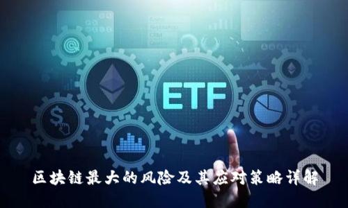 区块链最大的风险及其应对策略详解