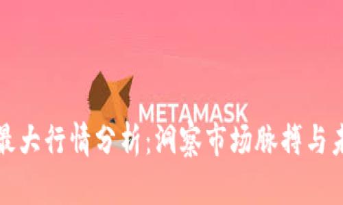 区块链最大行情分析:洞察市场脉搏与未来趋势