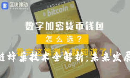 : 区块链蜂巢技术全解析:未来发展的关键