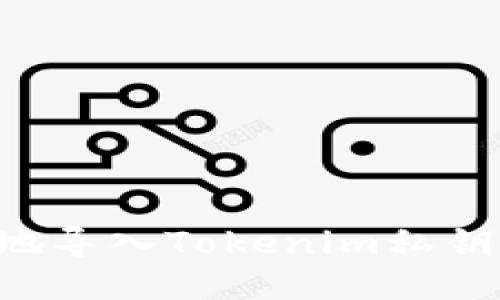 如何安全地导入Tokenim私钥：全面指南