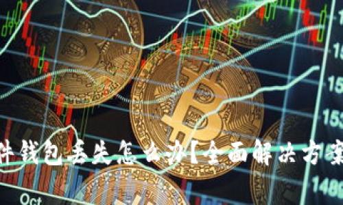 Tokenim硬件钱包丢失怎么办?全面解决方案与注意事项