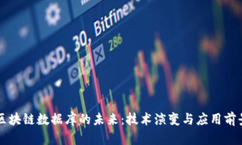 区块链数据库的未来：技术演变与应用前景
