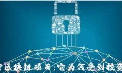 揭秘秘密区块链项目：它