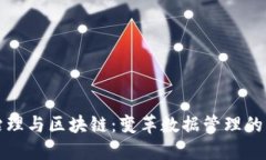 数据治理与区块链：变革