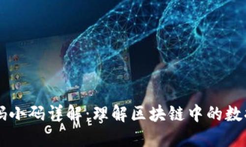 区块链大码小码详解:理解区块链中的数据编码方式
