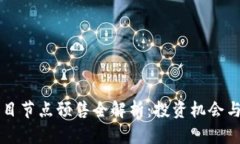 区块链项目节点预售全解
