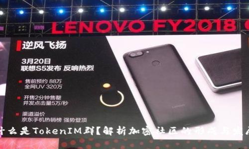什么是TokenIM群?解析加密社区的形成与发展