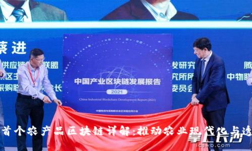 国内首个农产品区块链详解:推动农业现代化与透明度