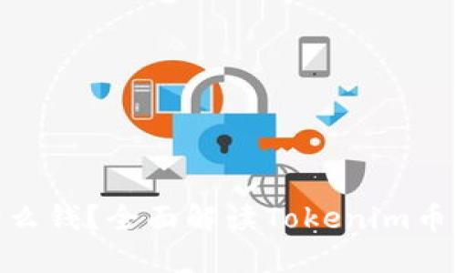 Tokenim是什么钱?全面解读Tokenim币的特点与应用
