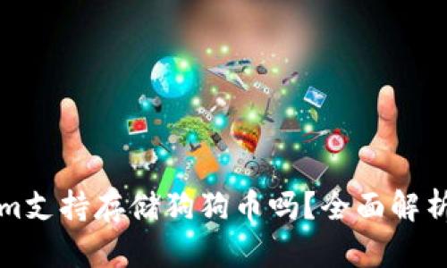 Tokenim支持存储狗狗币吗？全面解析与指南