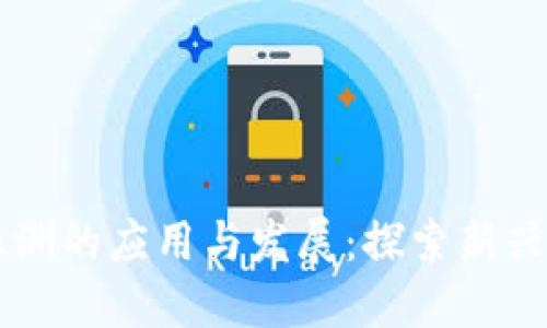 区块链在非洲的应用与发展:探索新兴市场的潜力