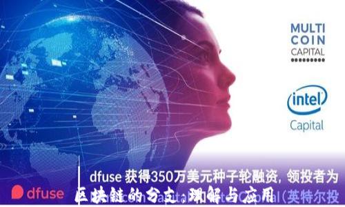 区块链的分支:理解与应用