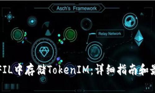 如何在FIL中存储TokenIM:详细指南和最佳实践