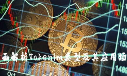 全面解析Tokenim类型及其应用场景