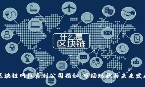 区块链网红系列公司揭秘:市场现状与未来发展