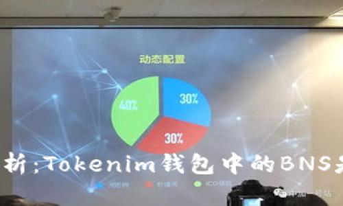 深入解析:Tokenim钱包中的BNS是什么?