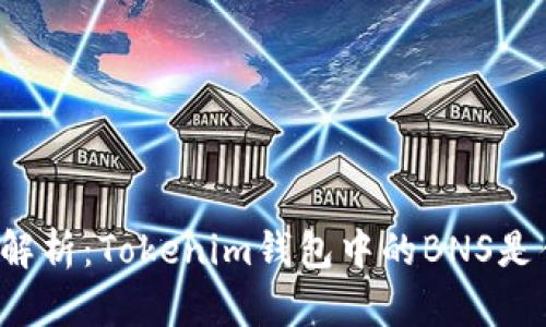 深入解析:Tokenim钱包中的BNS是什么?