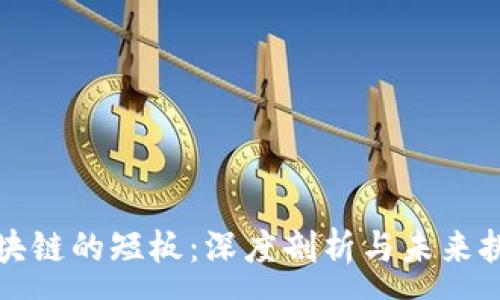 :
区块链的短板:深度剖析与未来挑战