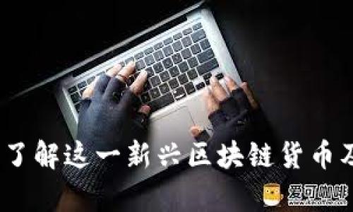 时空币:深入了解这一新兴区块链货币及其应用前景