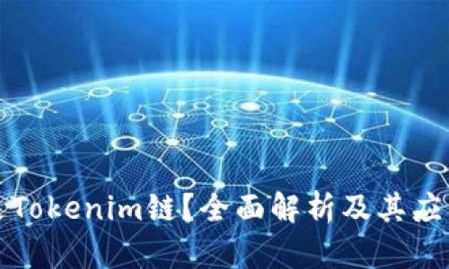 什么是Tokenim链？全面解析及其应用前景