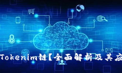 什么是Tokenim链？全面解析及其应用前景