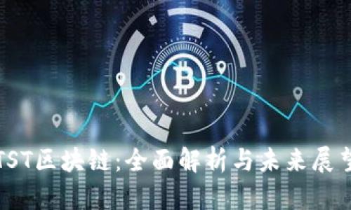 TST区块链:全面解析与未来展望