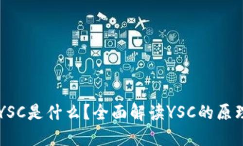 区块链YSC是什么?全面解读YSC的原理与应用