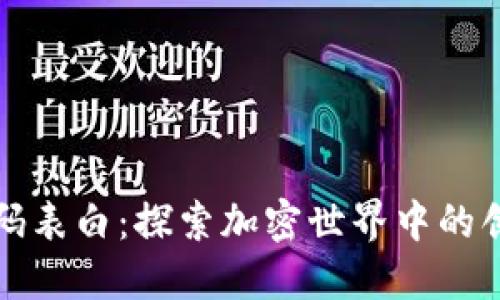 区块链代码表白:探索加密世界中的创新与机遇