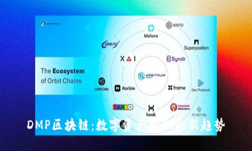 DMP区块链:数字资产管理的新趋势