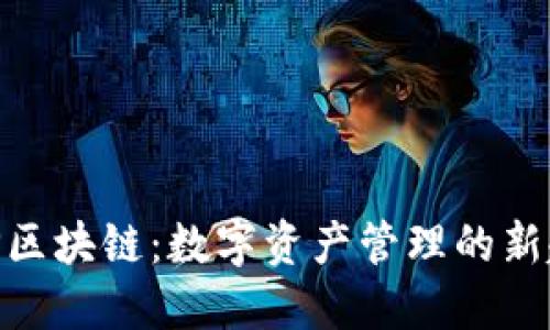 DMP区块链:数字资产管理的新趋势