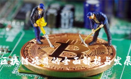 网上区块链项目的全面解析与发展趋势