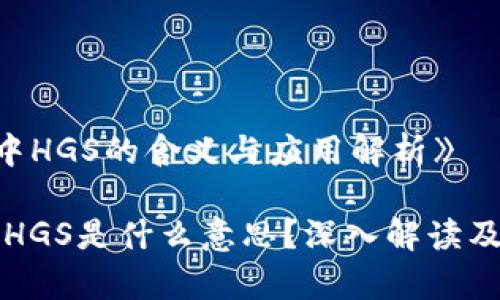《区块链中HGS的含义与应用解析》

区块链中HGS是什么意思？深入解读及应用分析