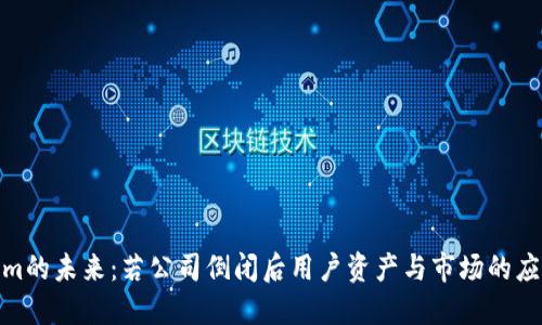 Tokenim的未来:若公司倒闭后用户资产与市场的应对策略